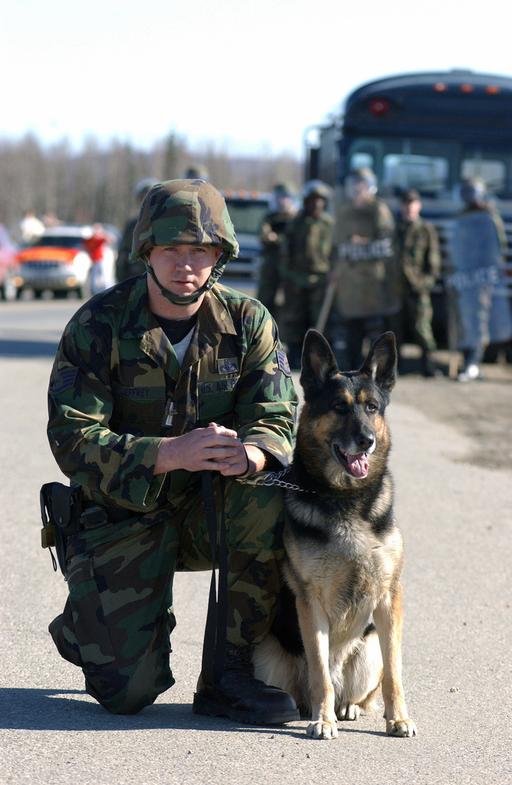 US Air Force (USAF) Military Working Dog Handler, STAFF Sergeant (SSGT ...