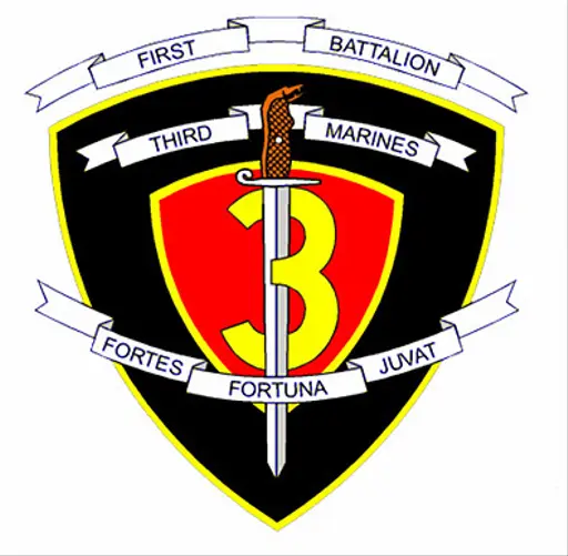 Official logo Combat Service Support Group 3, 3rd Force… — NARA