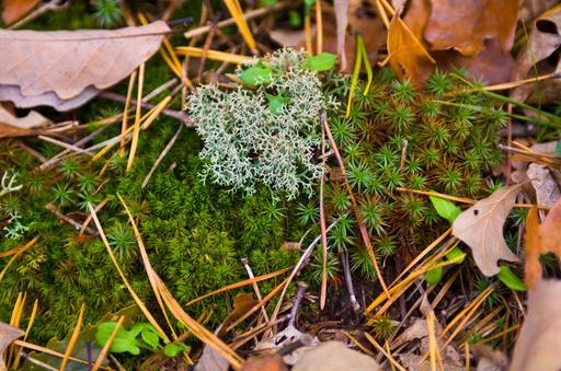 Textures in the public domain 412_DSP_Textures_018 — NARA and DVIDS ...