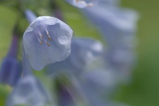 Textures in the public domain 412_DSP_Textures_150 - NARA & DVIDS ...