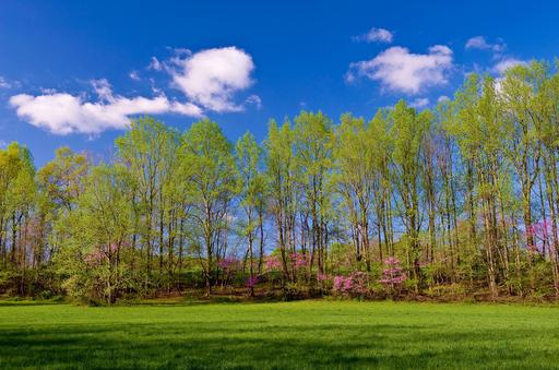 Textures in the public domain 412_DSP_Textures_247 - NARA & DVIDS ...