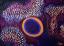 A close up of a piece of art with dots on it. Aboriginal art art dots, backgrounds textures.