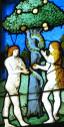 A stained glass window depicting two women picking apples from a tree. Adam and eve church window church, religion.