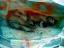 Rock Art  Australia, Painting