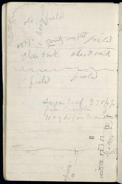Field note book of Wm. Luce, Eng. of Capt. J.W. Abert's party of U.S ...
