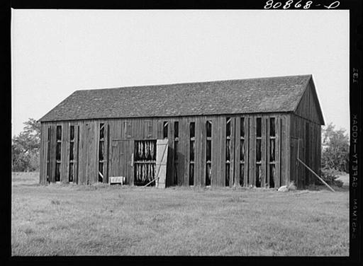 A black and white photo of an old barn, Tobacco shed near… — PICRYL