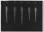 Ansatsfil - Livrustkammaren - 52195-negative