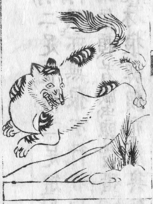 Wakan Sansai Zue (original) Shii, wakan sansai zue, encyclopedia, japanese culture, illustrations, flora, fauna, daily life, edo period