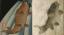 Gakutei-original-and-copy