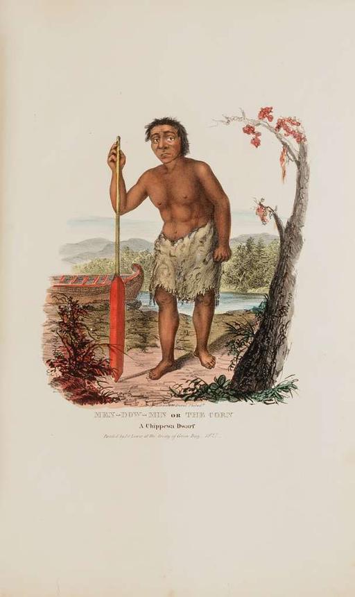 MEN-DOW-MIN or The Corn; A Chippewa Dwarf, from The Aboriginal Portfolio - SAAM - 1973.167.15, men dow min, chippewa dwarf, indigenous portrait, native american, engraving, 19th century, paddle, river landscape, historical illustration, treaty of green bay