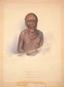 Portrait of Mannalargenna