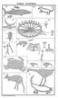 Native Drawings (Discoveries in Australia)