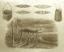 Aboriginal final rest - Public domain  drawing
