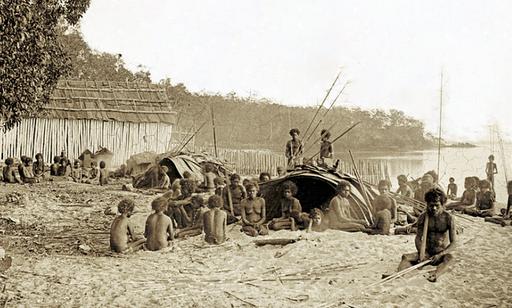 Aboriginal camp at Port Essington, indigenous australians, aboriginal people, coastal camp, historical photo, traditional shelters, dwellings, settlement, australia, 19th century, ethnography