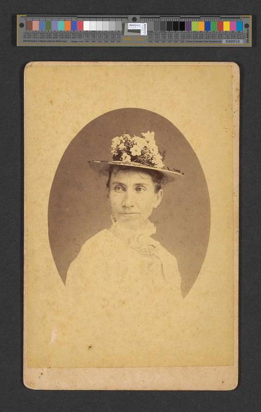 Mary Jane Fayerweather (PP-76-5-013, original), portrait, woman, 19th century, fashion, dress, hairstyle, photography
