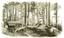 Page 409 Boy Travellers Australasia