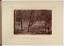 Australian scenery & Aboriginals - (photogr.) J. W. Lindt - btv1b8447085f (14 of 38)