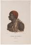 Tasmanian Aboriginal People Print 1700-1880 AD  University of Amsterdam Special Collections