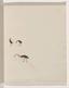 Tommy McKenzie - Kwatkwat people - (Birds) Sketchbook mainly of activities of Aboriginals and Whites - Google Art Project