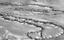 1413 - Brewarrina Aboriginal Fish Traps - Baiame's Ngunnhu - Historic (probably posed) photo of a man fishing in the Brewarrina Aboriginal fish traps (5051305b12)