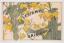 L'Estampe Originale, Cover to Album V
