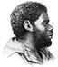 PSM V49 D061 Tasmanian - A black and white drawing of a man with a beard