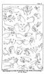Ethnological Studies Among the North-West Central Queensland Aborigines - Plate V - Sign language