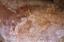 Kangaroos  Australian Rock Art Painting ca. 1900