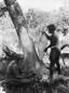 Aboriginal men making bark shields, ca 1905
