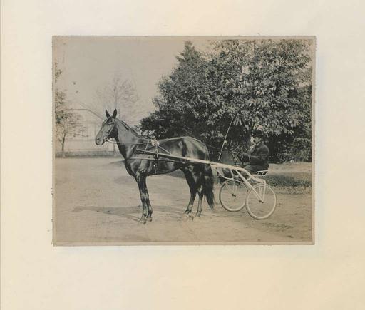 Dan Patch Photo B (HS85-10-16532) original, dan patch, racehorse, sulky, horse racing, harness racing, driver, crowd, black and white photograph
