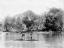 Two Aboriginal men spearing fish from bark canoe, c 1905