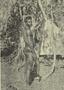 Visit of Charles Fraser p18 (1)
