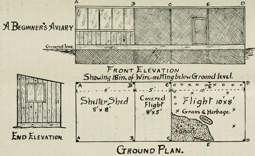 Bird notes (1917) (14748131761) — PICRYL - Public Domain Media Search ...
