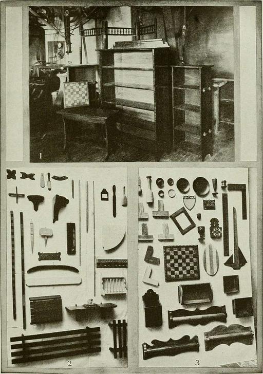 The American educator; completely remodelled and rewritten from original text of the New practical reference library, with new plans and additional material (1919) (14598250549), book, education, american educator, john l comstock, textbook, early 20th century, remodelled, rewritten