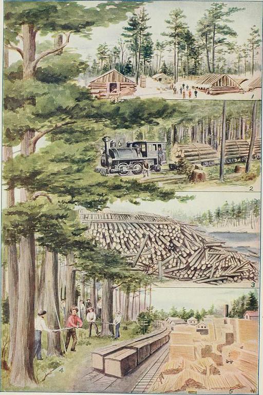 The American educator; completely remodelled and rewritten from original text of the New practical reference library, with new plans and additional material (1919) (14782535144), book, education, textbook, illustrations, open book, learning, knowledge
