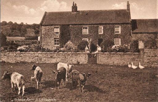 Littlebeck, Intake Farm - south of Whitby - printed postcard — PICRYL ...