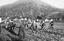 Queensland State Archives 5798 Tänzer Palm Island Juni 1931