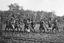 Queensland State Archives 5801 Dancers Palm Island Juni 1931