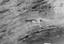 StateLibQld 1 150755 Walls of a sandstone gorge in the Carnarvon Range, 1938