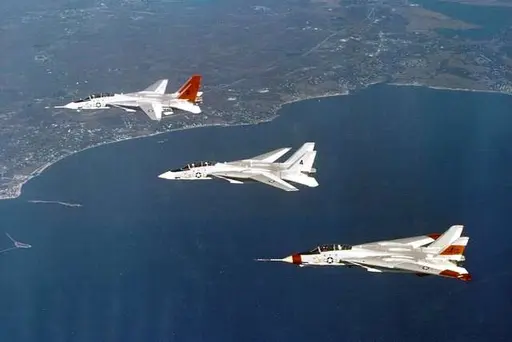 100th F-14 Tomcat produced taking off in 1974 — PICRYL - Public