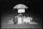 Aboriginal Embassy under a beach umbrella, Canberra, 27 January 1972. Left to right- Michael Anderson, Billy Craigie, Bert Williams and Tony Coorey. (39642950501)