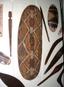 Australian Aboriginal shield, Queensland, Australia