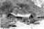 Grand Canyon National Park - ORIGINAL LODGE 04439