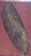 British Museum bark shield