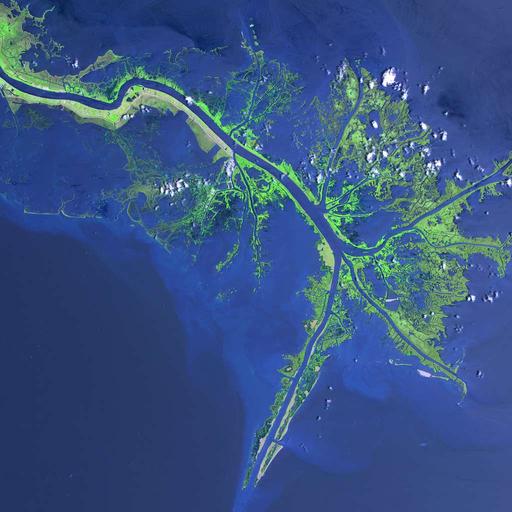 Mississippi River Delta: Image of the Day — PICRYL - Public Domain
