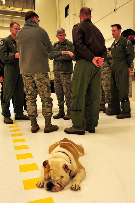 Fado, 525th Fighter Squadron 