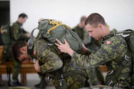 Canadian soldiers with the Royal Canadian Regiment - PICRYL - Public ...