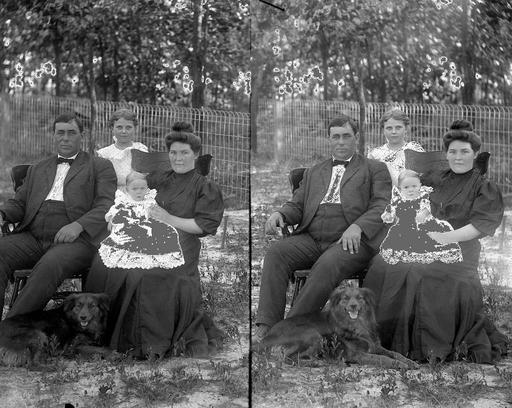 Original glass plate negative is from the J. C. Knowles Collection, PhC.182, State Archives of North Carolina. (8721757786), family portrait, early 20th century, group photo, dogs, north carolina