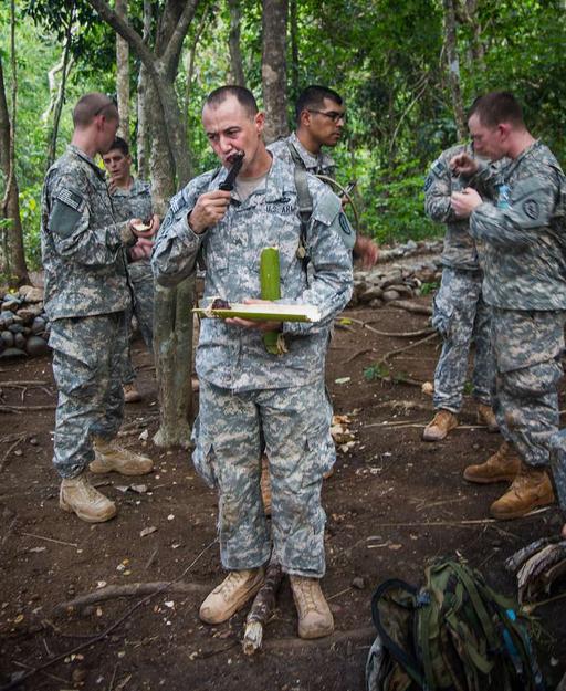 U.S. Army Sgt. Lucas Williams, Commando Troop, 3rd — PICRYL - Public ...