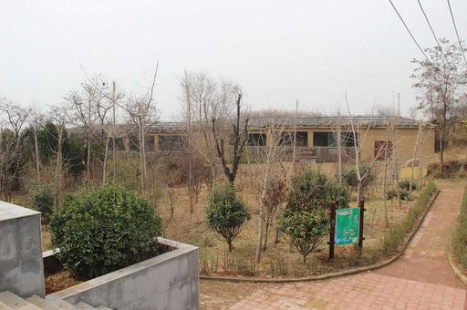 Yangshao Culture Original Excavation Site, yangshao culture, archaeological site, excavation, historical site, artifacts, cultural heritage